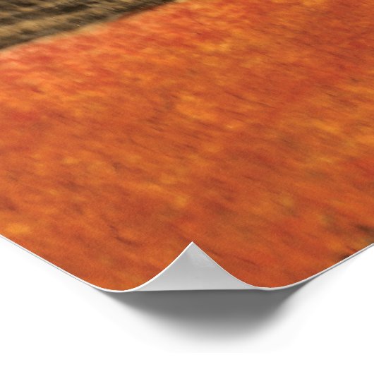 Bream Gevist Poster (Hoek)