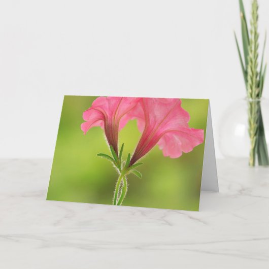 Breast Cancer Support Pink Petunia Kaart (Voorkant)