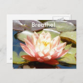 Breathe! Lotus Postcard Briefkaart (Voorkant / Achterkant)
