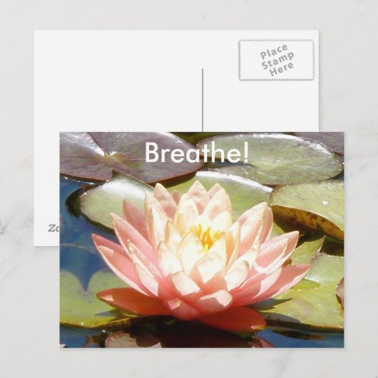 Breathe! Lotus Postcard Briefkaart (Voorkant / Achterkant)