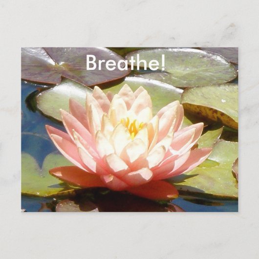 Breathe! Lotus Postcard Briefkaart (Voorkant)