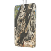 Breathe Unique Trees Woodland Nature Lover Luchtverfrisser (Links)