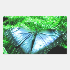 Breatininatie van Iridescent Blue Butterfly Rechthoekige Sticker