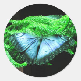Breatininatie van Iridescent Blue Butterfly Ronde Sticker