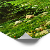 Breckenridge Colorado zomer schilderachtig poster (Hoek)