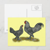 Breda Chickens Cuckoo Briefkaart (Voorkant / Achterkant)