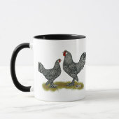 Breda Chickens Cuckoo Mok (Links)