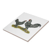 Breda Chickens Cuckoo Tegeltje (Zijkant)