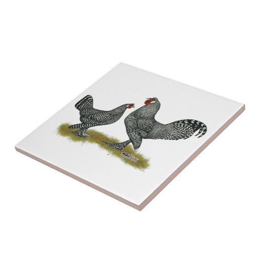 Breda Chickens Cuckoo Tegeltje (Zijkant)