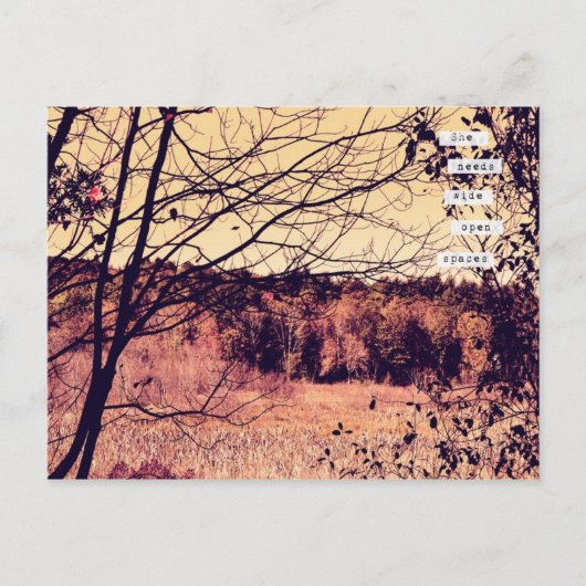 Brede open ruimtes II-Briefkaart Briefkaart (Voorkant)