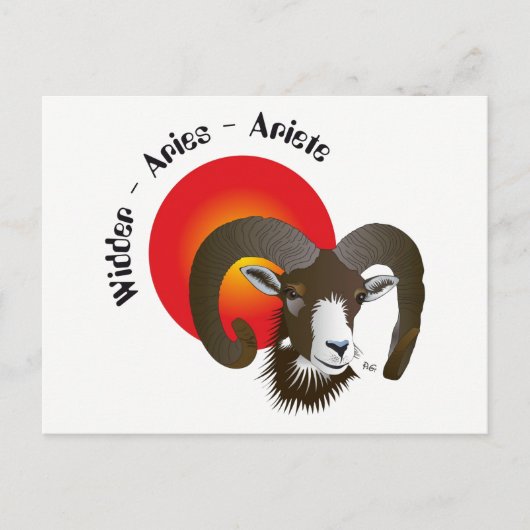 Breder Sternzeichen Postkarte Briefkaart (Voorkant)