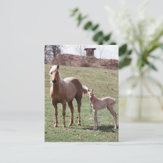 Bree en Jac Briefkaart (Staand voorkant)