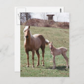 Bree en Jac Briefkaart (Voorkant / Achterkant)