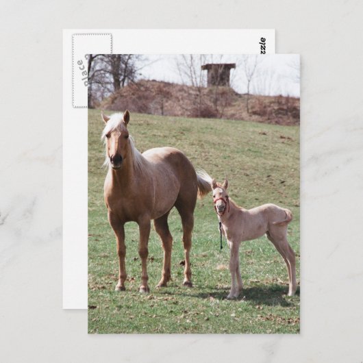 Bree en Jac Briefkaart (Voorkant / Achterkant)