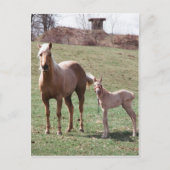 Bree en Jac Briefkaart (Voorkant)