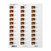 Breed beeld Kat portret | ABSTRACT | WATERVERF Etiket (Full Sheet)