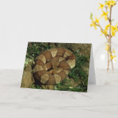 breed-gestreept copperhead slangwenskaart kaart (Gele Bloem)