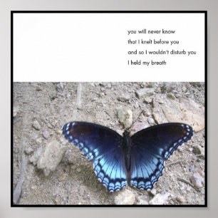 Breed - Poster uit de 6x6-reeks