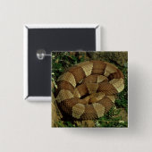 breed-verbonden copperhead-knop pinback vierkante button 5,1 cm (Voorkant /achterkant)