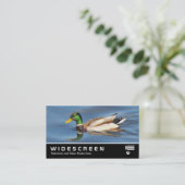 Breedbeeld 0441 - Mallard Duck Visitekaartje (Staand voorkant)