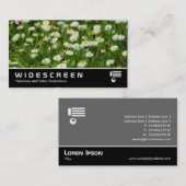 Breedbeeld 0474 - Daisies Visitekaartje (Voorkant / Achterkant)