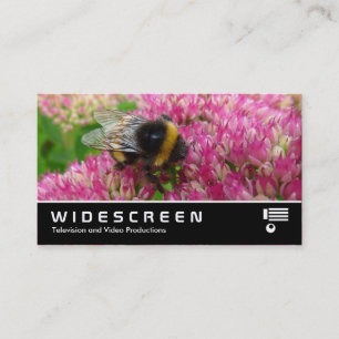 Breedbeeld 349 - Bumble bee on Sedum Visitekaartje