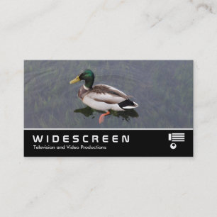 Breedbeeld 390 - Mallard Duck Visitekaartje