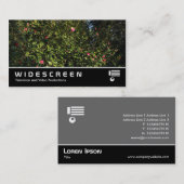 Breedbeeld 394 - Camellia-Struik Visitekaartje (Voorkant / Achterkant)