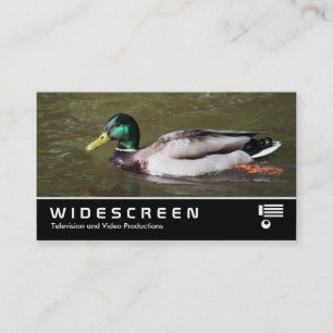 Breedbeeld 401 - Mallard Duck Visitekaartje