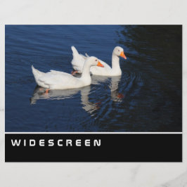 Breedbeeld - Emdener ganzen Flyer