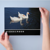 Breedbeeld - Emdener ganzen Flyer (Hand)