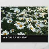 Breedbeeld - Shasta Daisies Flyer (Voorkant)