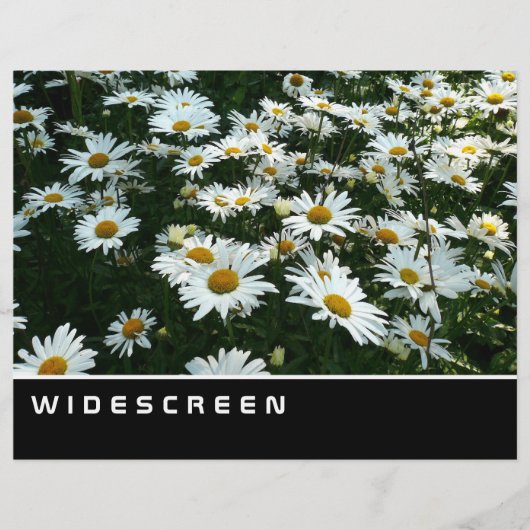 Breedbeeld - Shasta Daisies Flyer (Voorkant)