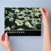 Breedbeeld - Shasta Daisies Flyer (Hand)