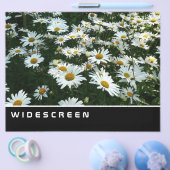 Breedbeeld - Shasta Daisies Flyer (Enkel)