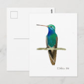 Breedbekkolibrie Briefkaart (Voorkant / Achterkant)