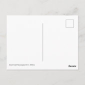 Breedbekkolibrie Briefkaart (Achterkant)