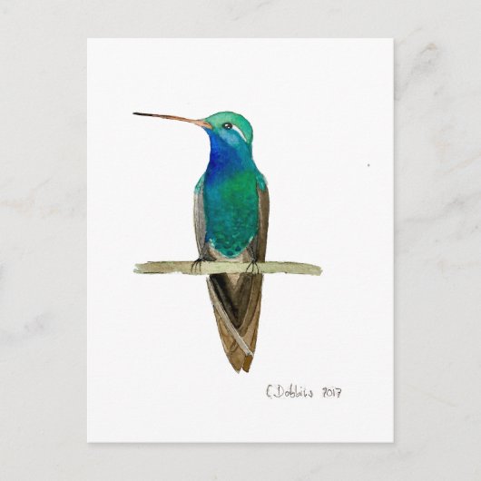 Breedbekkolibrie Briefkaart (Voorkant)
