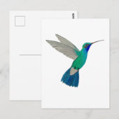Breedbekkolibrie Briefkaart (Voorkant / Achterkant)