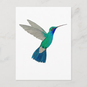 Breedbekkolibrie Briefkaart