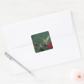 Breedbekkolibrie, Cynanthus Vierkante Sticker (Envelop)