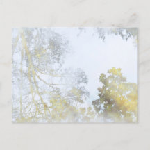 Breedbladige bomen op het briefkaart water