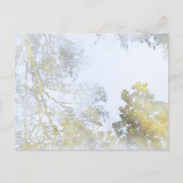 Breedbladige bomen op het briefkaart water