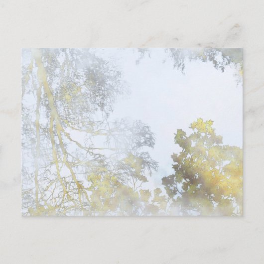 Breedbladige bomen op het briefkaart water (Voorkant)