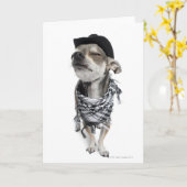 Breedhoek van een Chihuahua met gesloten ogen Kaart (Gele Bloem)