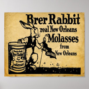 Breedkonijnenmodellen Nieuwe Orleans Afdrukken Poster