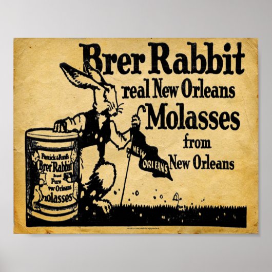  Breedkonijnenmodellen Nieuwe Orleans Afdrukken Poster (Voorkant)