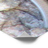 Breedkopskink Poster (Hoek)