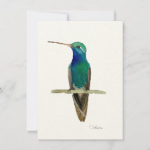 Breedkopvogel in een tak