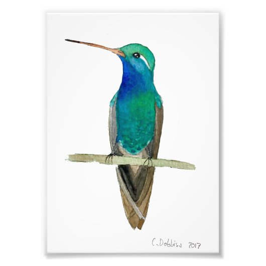 Breedkopvogel in een tak foto afdruk (Voorkant)